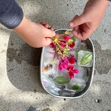 natureice